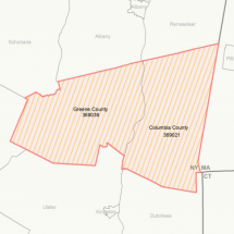 NY-519 - Columbia, Greene Counties CoC